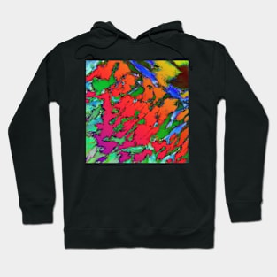 Shattering red tigers Hoodie